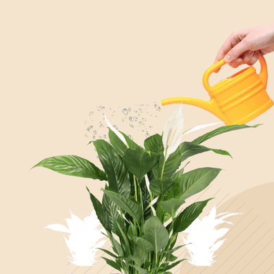 episode 10: Growth hacking and sustainable growth with Craig Zingerline artwork