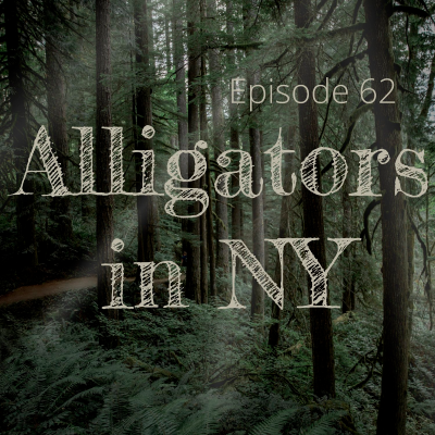 episode Ep 65: Alligators in New York artwork
