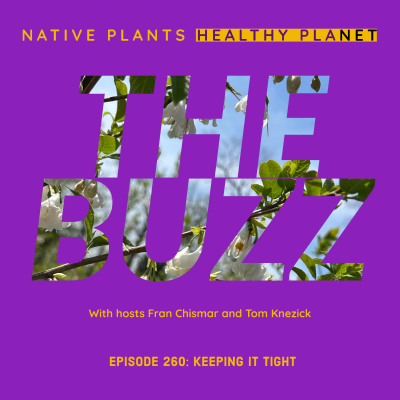episode The Buzz - Keeping it Tight artwork
