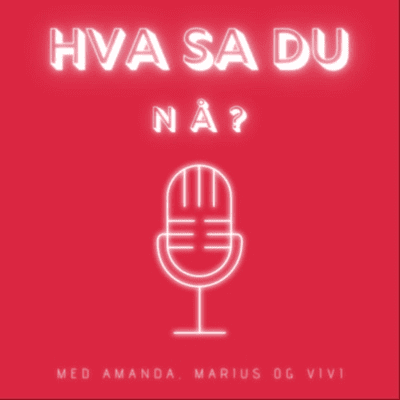 Hva sa du nå?