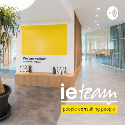 IETEAM CONSULTORES