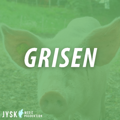 episode Grisen 2025 - E35: Gode råd til skatteoptimering artwork