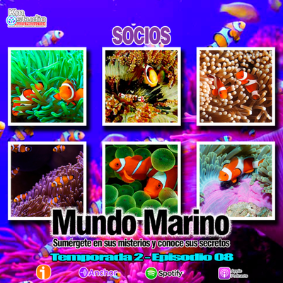 episode SOCIOS artwork