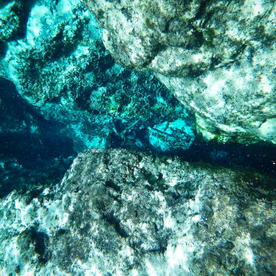 episode Episode 225: Florida Springs Heritage Area, Reverse Springs, and What You Can Do artwork