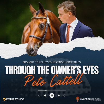 episode Through the Owner's Eyes - Pete Cattell artwork