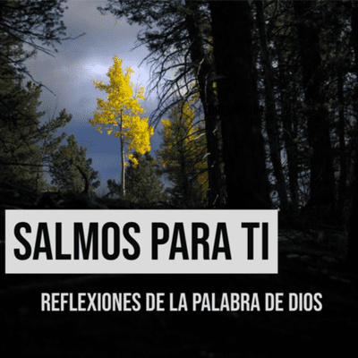 episode ¿Cómo trabajar confiados en medio de la incertidumbre? | salmo 4:6-8 artwork