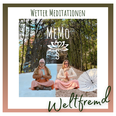episode Wettermeditation 05: Regen, nichts als Regen artwork