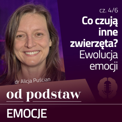 episode Co czują zwierzęta? Ewolucja emocji | OD PODSTAW: Emocje | 4/6 | dr Alicja Puścian artwork