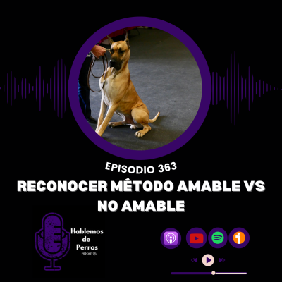 episode EP#363: Reconocer método amable vs método no amable artwork