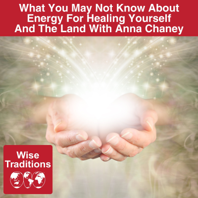 episode 537: What You May Not Know About Energy For Healing Yourself And The Land With Anna Chaney artwork