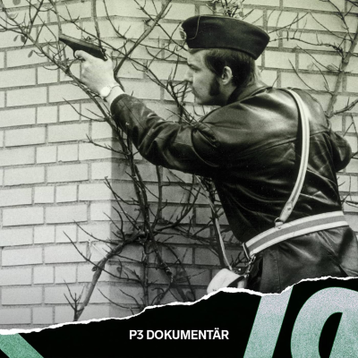 episode Dramat på västtyska ambassaden artwork