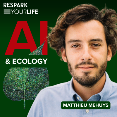 episode AI and Ecology | Matthieu Mehuys artwork