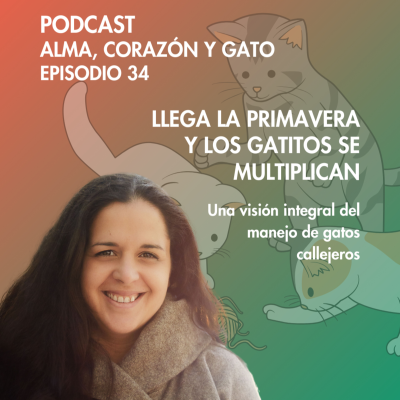 episode E.34: La Primavera y la multiplicación de los Gatos artwork