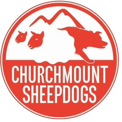 Churchmount Working Sheepdogs