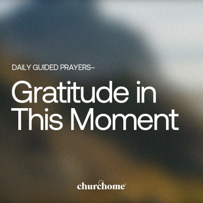 episode Gratitude in This Moment artwork