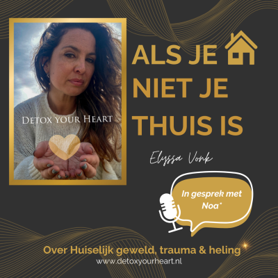 episode In gesprek met Noa* artwork
