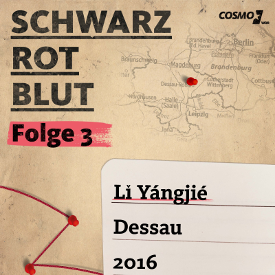 episode 3. Der Sexualmord - Dessau 2016 artwork