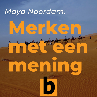 episode Maya Noordam over waarom B2B-marketing zo weinig impact heeft artwork