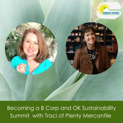 episode Becoming a B Corp and OK Sustainability Summit with Traci of Plenty Mercantile artwork