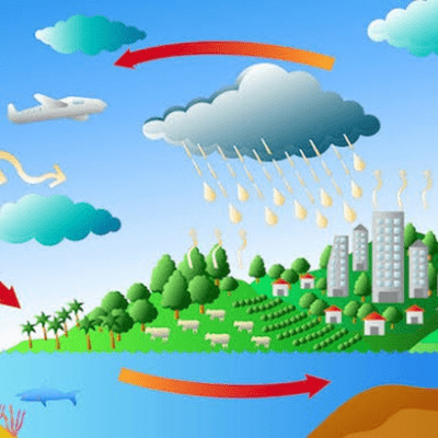 episode Ciclos biogeoquímicos artwork