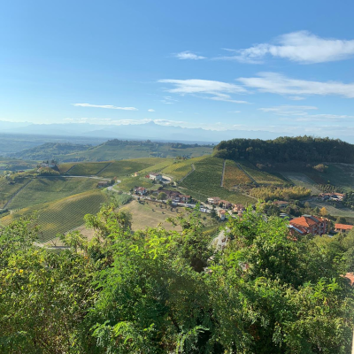 episode Discover Piedmont artwork