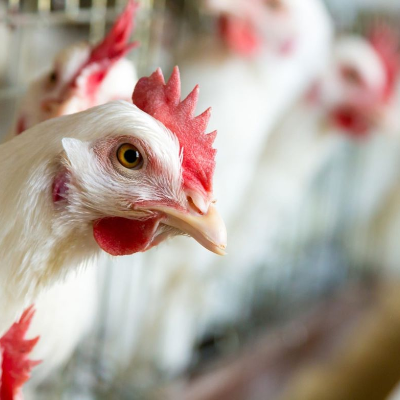 episode Economía en Andaluz 12 de septiembre de 2025 artwork