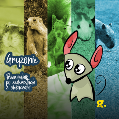 episode Gryzonie – przewodnik po zwierzętach z siekaczami artwork