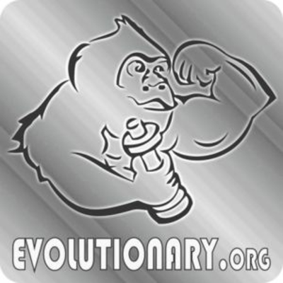 episode Evolutionary.org Hardcore 2.0 #109 - Best ways to train muscles 2x per week from Para Pharma artwork