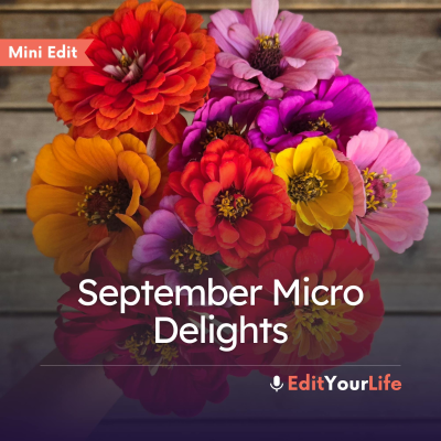 episode Mini Edit: September Micro Delights artwork