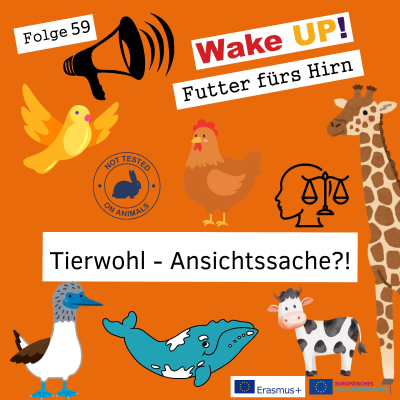 episode Folge 59: Tierwohl - Ansichtssache?! artwork