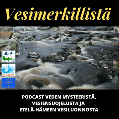 episode Talvitunnelmia ja toiveuusintoja 5 artwork