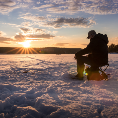 episode You sneaky geese and ducks are too late artwork