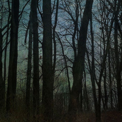 episode Mörkret artwork