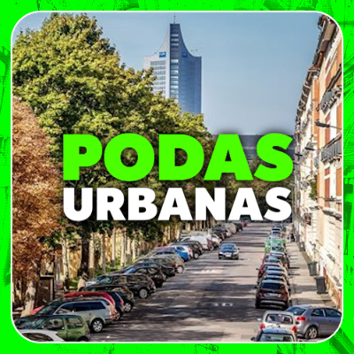 episode Podas urbanas: ¿para qué sirven? - Economía Directa/Radioactividad artwork