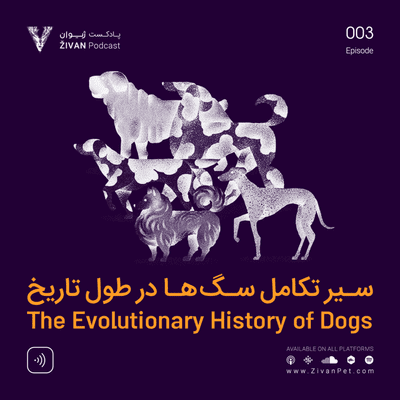 episode سیر تکامل سگها در طول تاریخ artwork