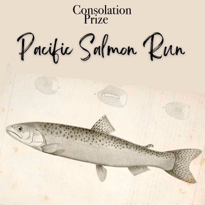 episode Pacific Salmon Run artwork