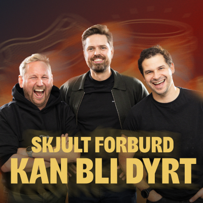 episode 224 - Skjult forbud vil gi dårlig oversikt og dyrere lån artwork
