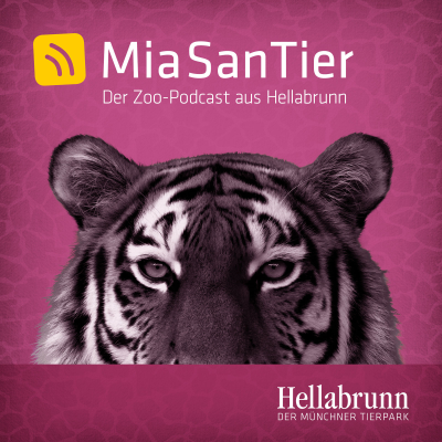 episode Das Artenschutzprojekt Cikananga in Indonesien artwork