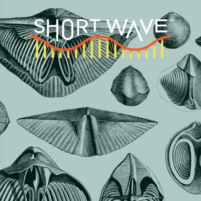 episode Why Some Species Survive Mass Extinctions artwork