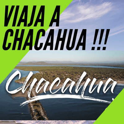 episode MUSIC TOUR - CHACAHUA artwork