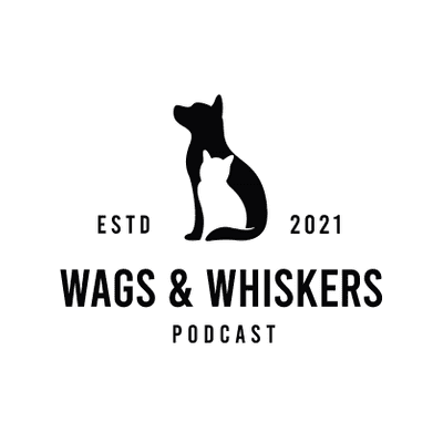 episode Episode #28: Bart the Bear artwork