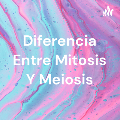 Diferencia Entre Mitosis Y Meiosis