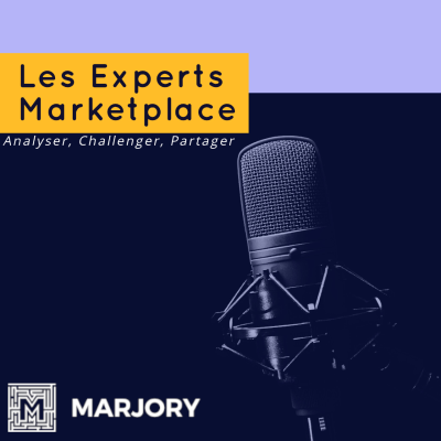 episode Episode #24- Décryptage de la Marketplace Behub-e avec Geoffroy de Roffignac, Directeur Online Business artwork