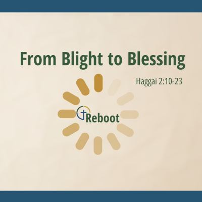 episode Reboot: From Blight to Blessing artwork