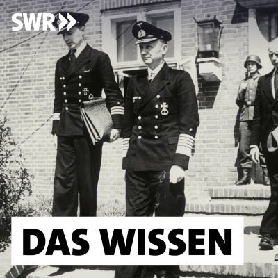 episode Hitlers Nachfolger – Admiral Dönitz und der Mai 1945 artwork
