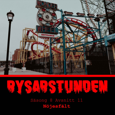 episode Nöjesfält s8e11 - (112) artwork