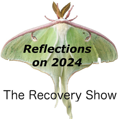 episode Reflections on 2024 – 426 artwork