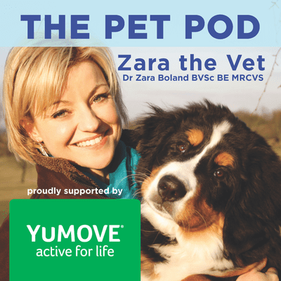 episode The YuMOVE Story with John Howie artwork