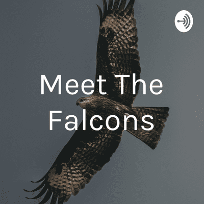 Cover image of show Meet The Falcons