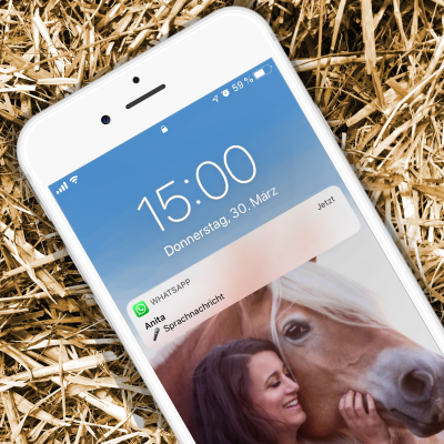 Imagen de portada del espectáculo Anita Girlietainment Sprachmemos